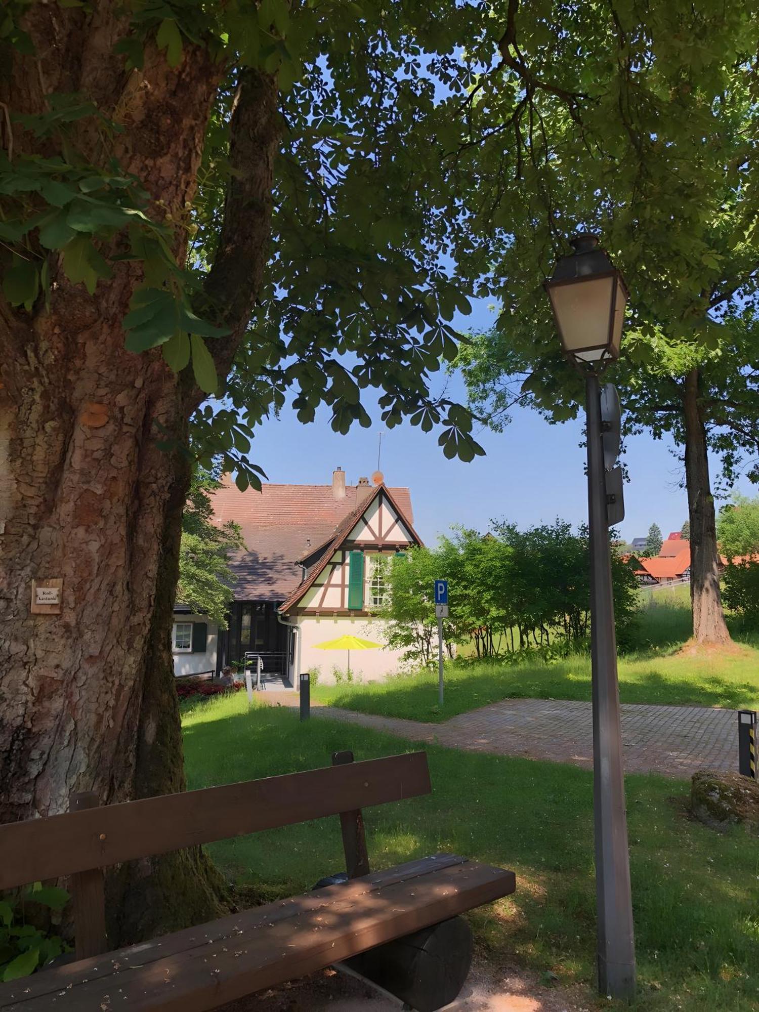 Ferienwohnung Am Keschtebaum, 70Qm Sasbachwalden Bagian luar foto